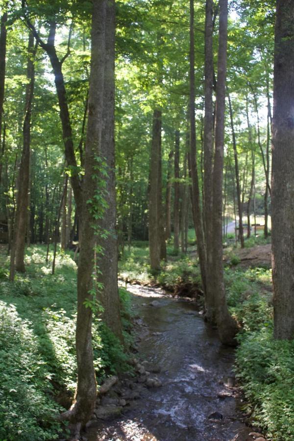 Villas At Gingershack Farms Ellijay Esterno foto