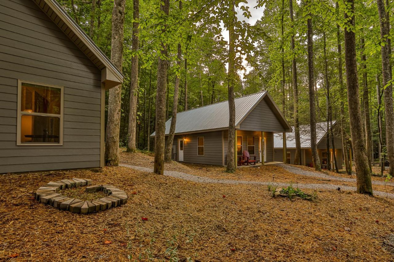 Villas At Gingershack Farms Ellijay Esterno foto